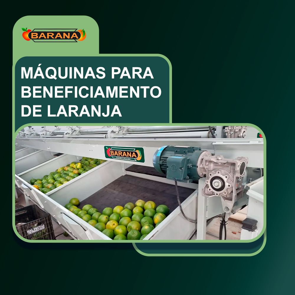 Maximize Seus Lucros: A Importância do Beneficiamento da Laranja